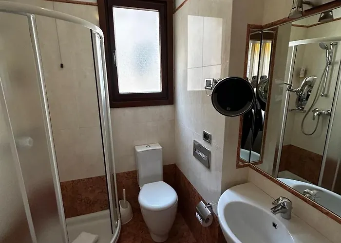 泰利罗莎大使酒店 威尼斯