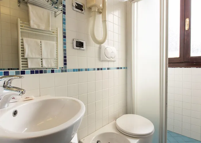 泰利罗莎大使酒店 酒店 威尼斯