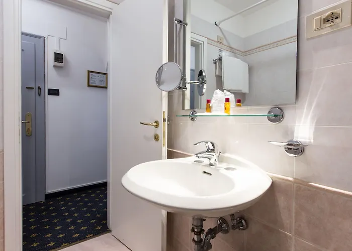 泰利罗莎大使酒店 3* 威尼斯