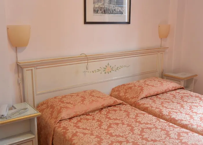 酒店 泰利罗莎大使酒店 威尼斯