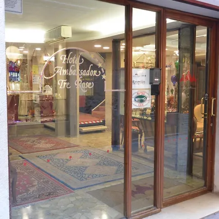 엠베서더스 트레 로즈